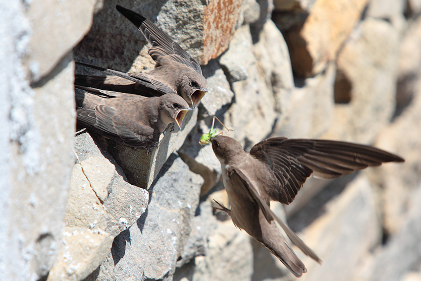 Uno a lui,uno te e uno a me